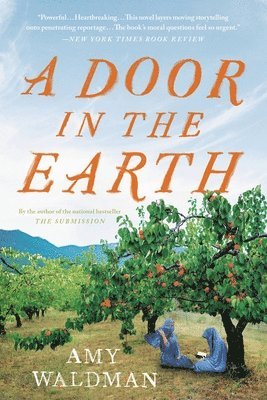 bokomslag A Door in the Earth