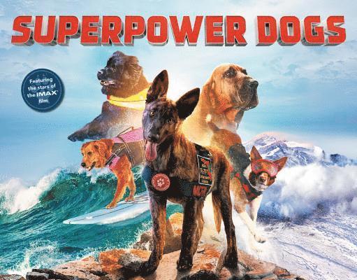 SuperPower Dogs 1