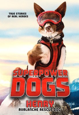 bokomslag Superpower Dogs: Henry