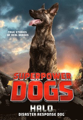 bokomslag Superpower Dogs: Halo