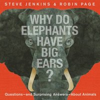 bokomslag Why Do Elephants Have Big Ears?