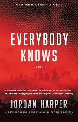 bokomslag Everybody Knows : A Novel of Suspense