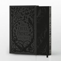 bokomslag The Cruel Prince
