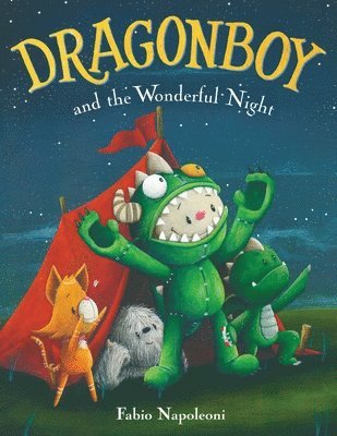bokomslag Dragonboy and the Wonderful Night
