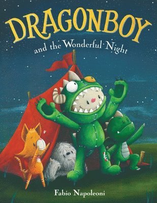 Dragonboy and the Wonderful Night