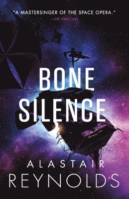 bokomslag Bone Silence