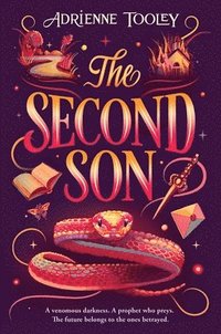 bokomslag The Second Son: Volume 2