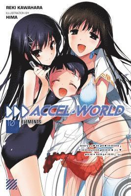 bokomslag Accel World, Vol. 10 (light novel)