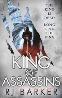 bokomslag King of Assassins