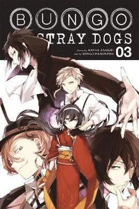 bokomslag Bungo Stray Dogs, Vol. 3