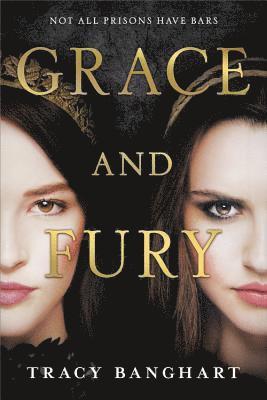 bokomslag Grace and Fury