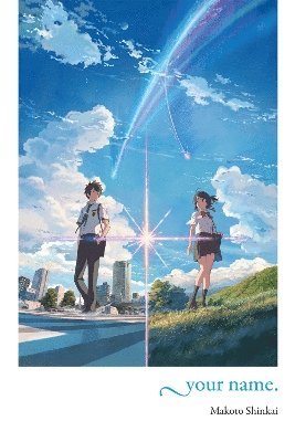 your name. (light novel) 1