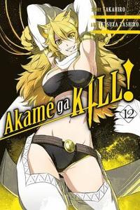 bokomslag Akame ga KILL!, Vol. 12