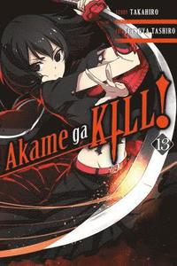 bokomslag Akame ga KILL!, Vol. 13