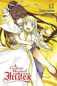 bokomslag A Certain Magical Index, Vol. 17 (light novel)