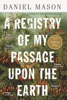 A Registry of My Passage Upon the Earth: Stories 1