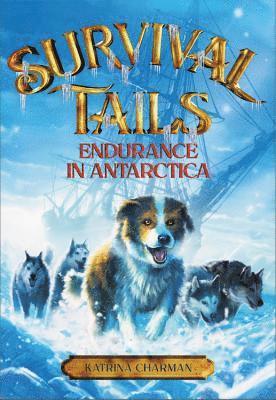 Katrina Charman - Survival Tails: Endurance in Antarctica, Häftad