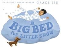 bokomslag A Big Bed for Little Snow
