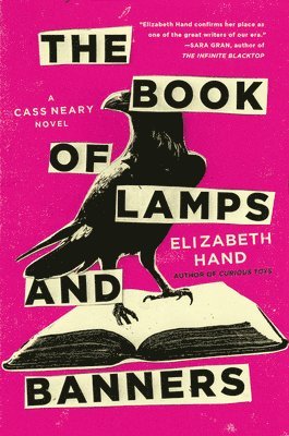 bokomslag Book of Lamps and Banners