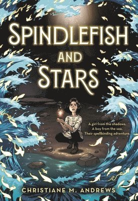 Spindlefish and Stars 1