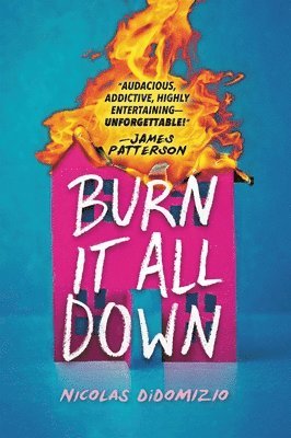 Nicolas DiDomizio - Burn It All Down, Inbunden