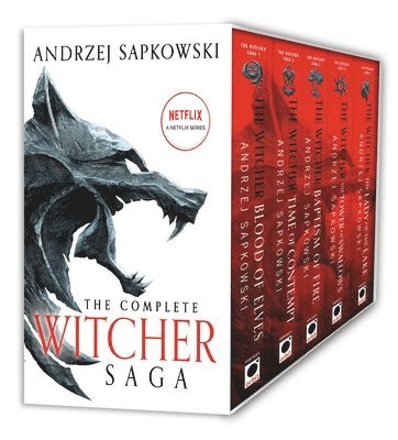 The Witcher Boxed Set: Blood of Elves, the Time of Contempt, Baptism of Fire, the Tower of Swallows, the Lady of the Lake 1