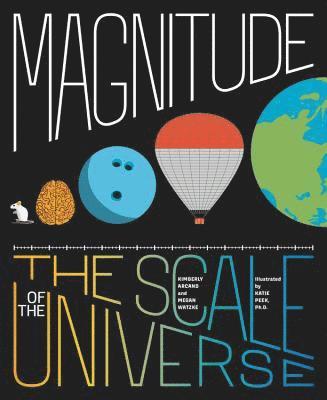 bokomslag Magnitude