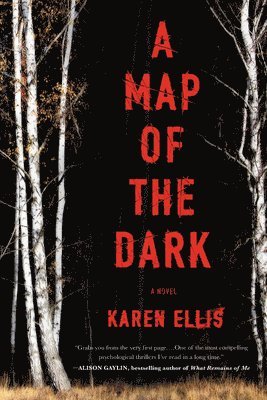 Karen Ellis - A Map of the Dark, Häftad. Tillgänglighet: Lägg i varukorg