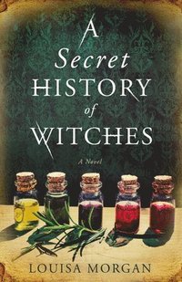 bokomslag Secret History Of Witches