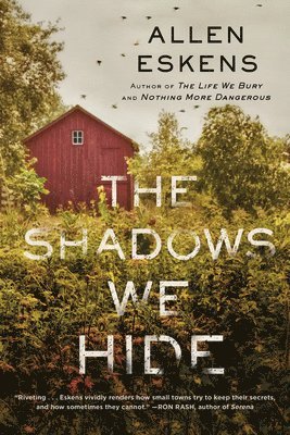 bokomslag The Shadows We Hide