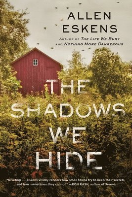 bokomslag The Shadows We Hide: The Highly Acclaimed Sequel to the Life We Bury