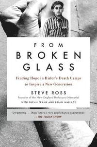 bokomslag From Broken Glass
