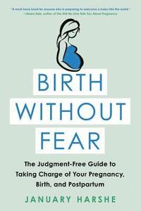 bokomslag Birth Without Fear