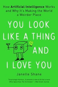 bokomslag You Look Like a Thing and I Love You: How Artificial Intelligence Works and Why It's Making the World a Weirder Place