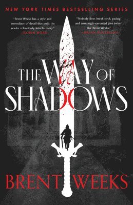 bokomslag The Way of Shadows