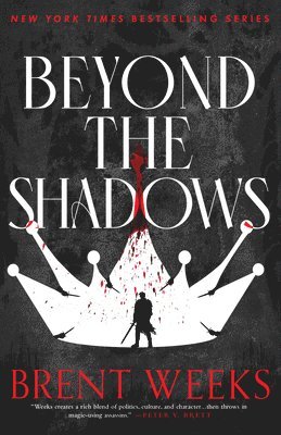 bokomslag Beyond the Shadows