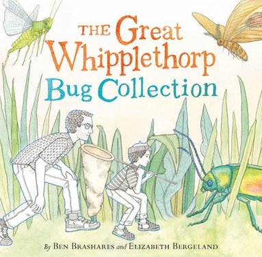 bokomslag The Great Whipplethorp Bug Collection