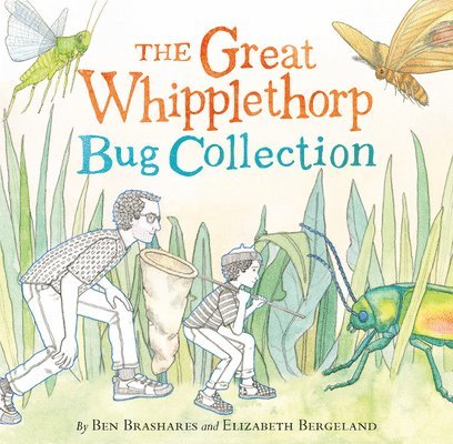 The Great Whipplethorp Bug Collection 1