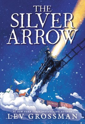 bokomslag Silver Arrow