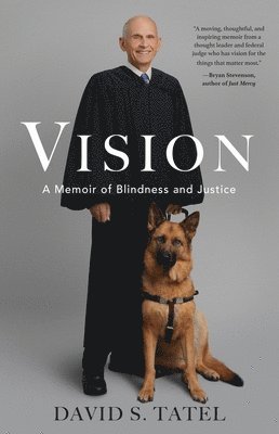 bokomslag Vision: A Memoir of Blindness and Justice