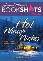 Hot Winter Nights: A Bear Mountain Rescue Story 1