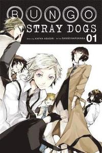 bokomslag Bungo Stray Dogs, Vol. 1