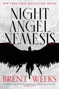 bokomslag Night Angel Nemesis