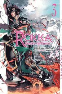 bokomslag Rokka: Braves of the Six Flowers, Vol. 3 (Novel)