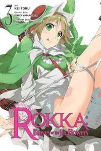 bokomslag Rokka: Braves of the Six Flowers, Vol. 3 (Manga)