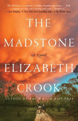 Elizabeth Crook - The Madstone, Inbunden