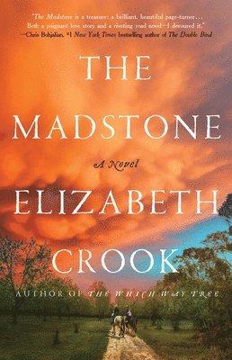 Elizabeth Crook - The Madstone, Häftad