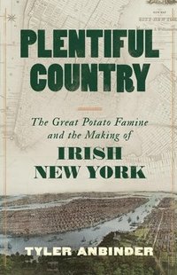 bokomslag Plentiful Country: The Great Potato Famine and the Making of Irish New York