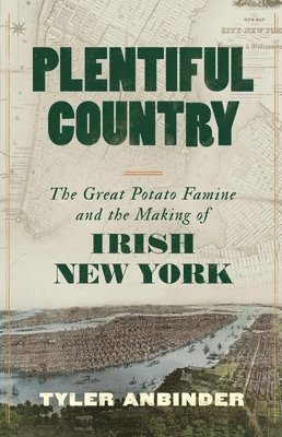 bokomslag Plentiful Country: The Great Potato Famine and the Making of Irish New York