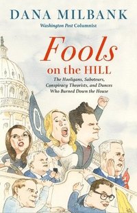 bokomslag Fools on the Hill: The Hooligans, Saboteurs, Conspiracy Theorists, and Dunces Who Burned Down the House